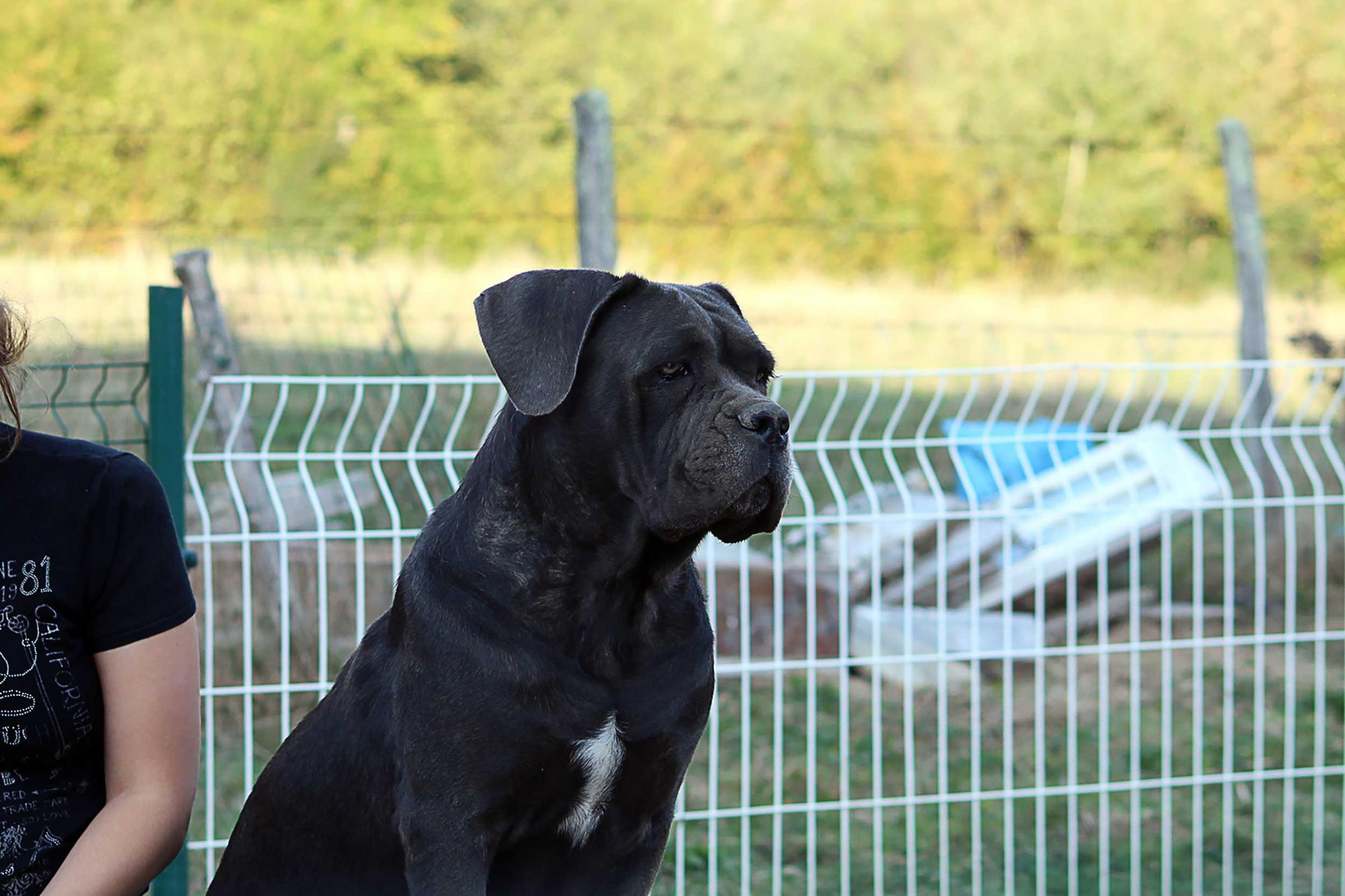 Portrait de Mélie