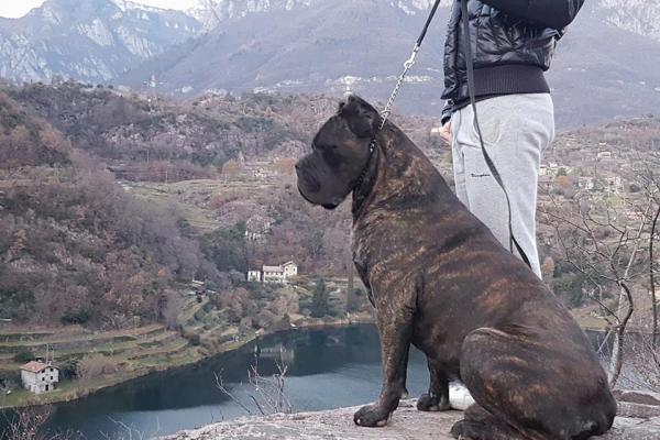 Portrait de Zivago Sans affixe
