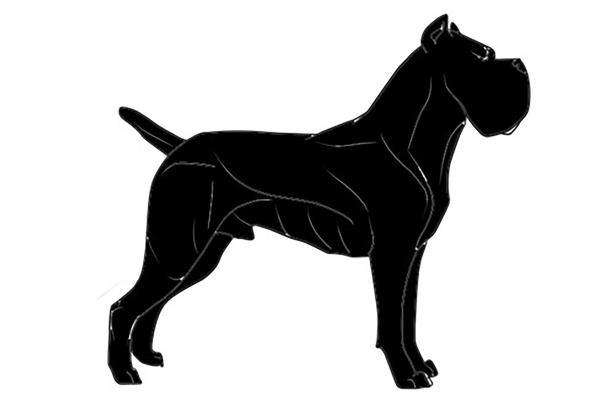 Portrait de Moca du Sang d'Orthos