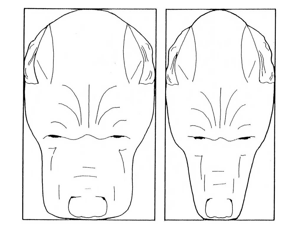 Face latéral du Cane Corso. A gauche, correct car parallèle Face latéral du Cane Corso. A gauche, correct car parallèle
