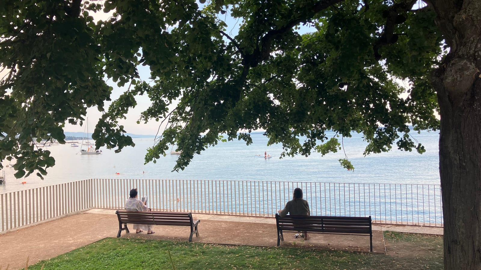 Le lac Léman vu depuis les rives de Versoix en Suisse